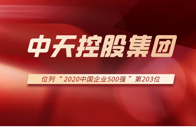 4001百老汇集团列2020中国企业500强第203位！